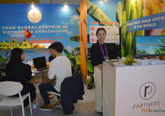 Partners Plus from Japan export Cavendish bananas.