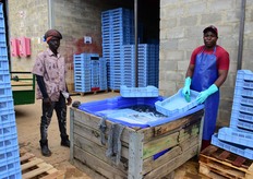 Kulinji Wonder and William Makhundi