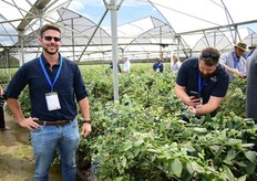 Planasa's Dane Castle