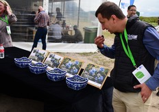 Four Planasa blueberry varieties (Manila®, Madeira®, Maldiva® and Malibu®) are already planted in Zimbabwe, Namibia and South Africa