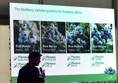 Pieter-Ernst Coetzee, Planasa Southern Africa business development manager