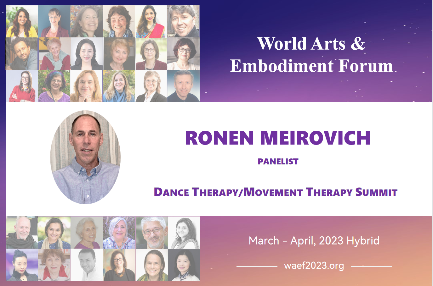 RONEN MEIROVICH