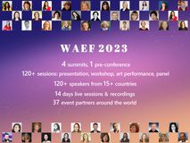 WAEF2023 poster